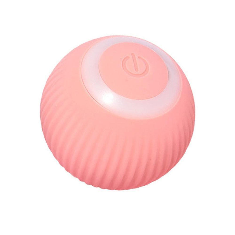 Bola Que Rola Sozinha para Gatos - Ball Rolls