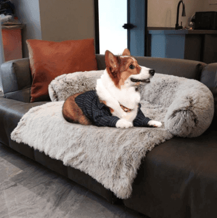 Cama Pets Anti Ansiedade