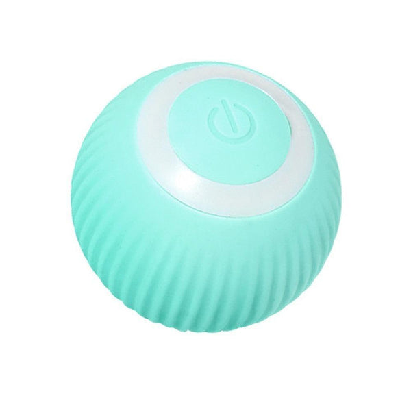 Bola Que Rola Sozinha para Gatos - Ball Rolls