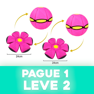 Fly Ball - PAGUE 1 e LEVE 2(Brinde) I SÓ HOJE