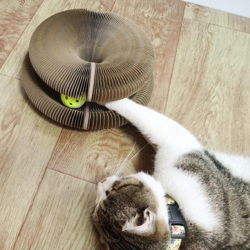 Arranhador Colméia para Gatos - Magic Stresh