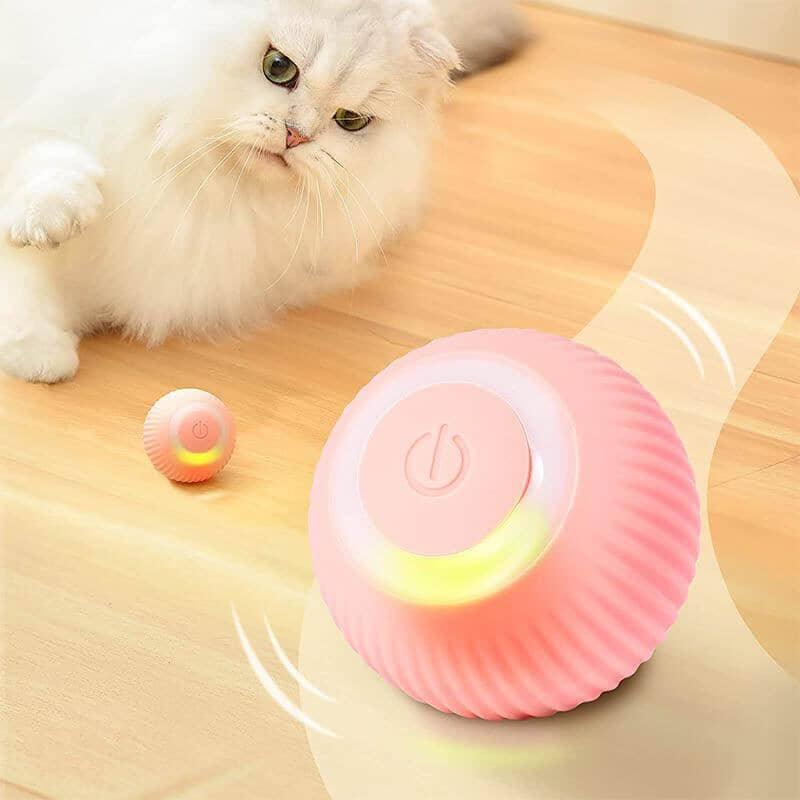 Bola Que Rola Sozinha para Gatos - Ball Rolls