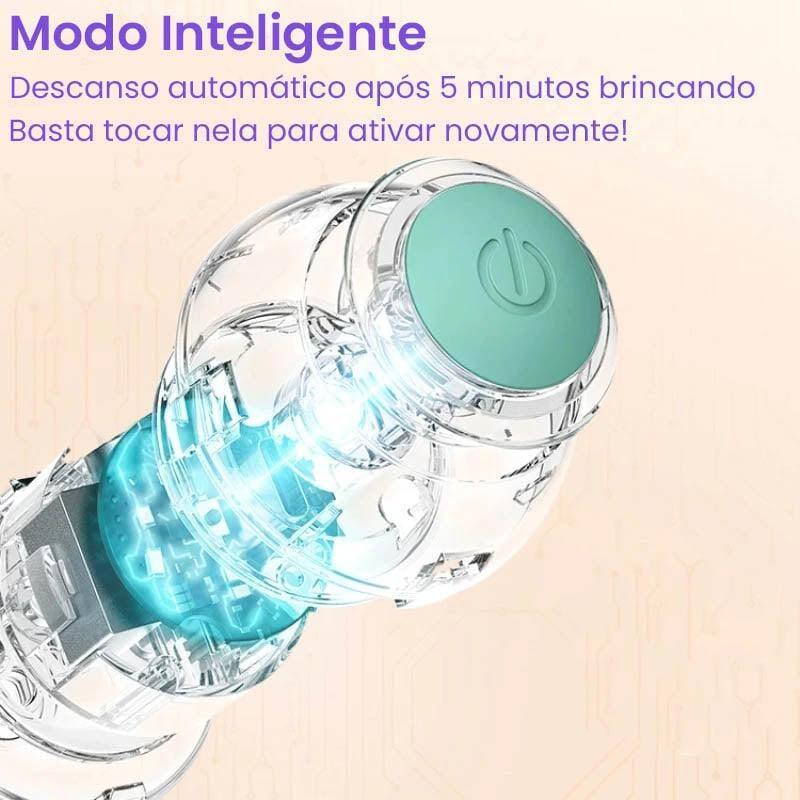 Bola Que Rola Sozinha para Gatos - Ball Rolls