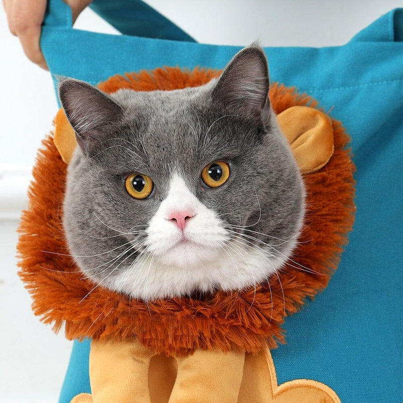 Bolsa Portadora de Cães e Gatos