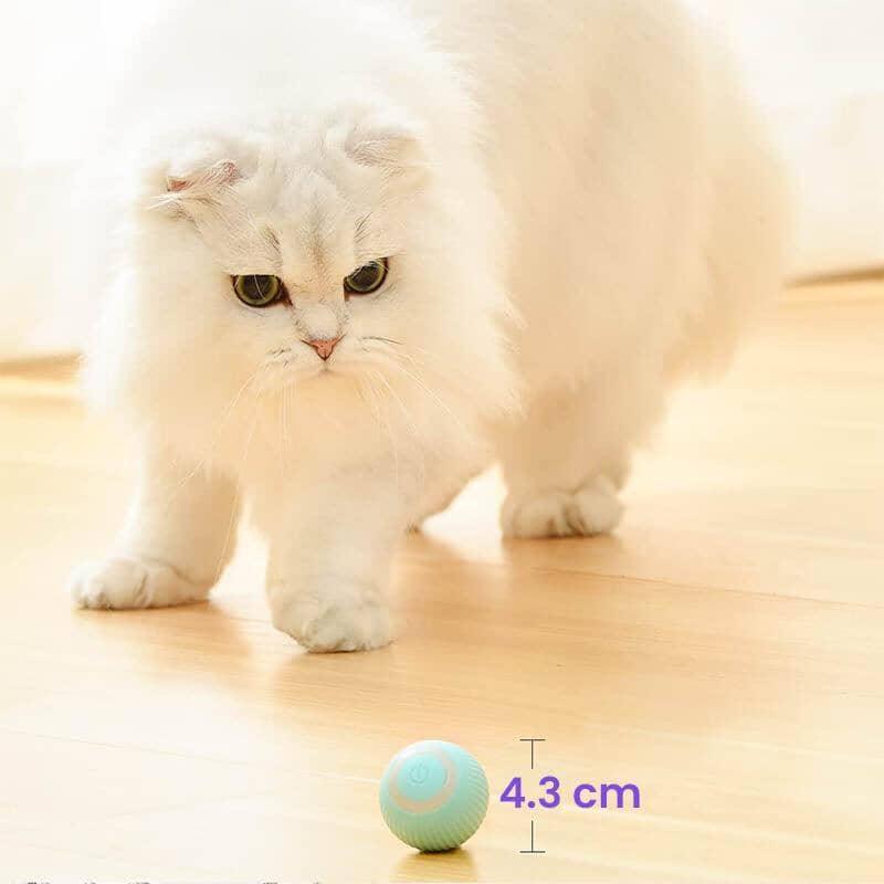Bola Que Rola Sozinha para Gatos - Ball Rolls