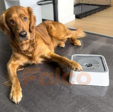 Tigela de Água para Cães Anti Respingo - Zero Splash